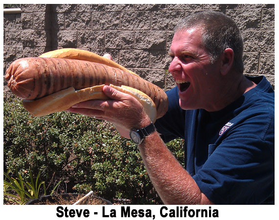 The Longest Hot Dog In The World The Longest Hot Dog In The World